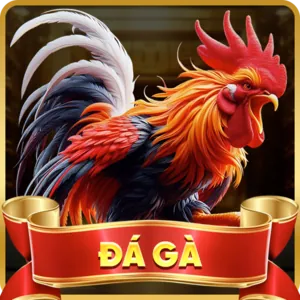 Cấp độ VIP Đồng của K9CC