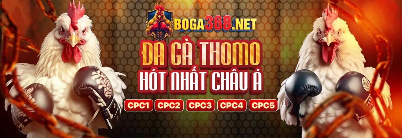 Sân đấu đá gà k9cc link mới nhất sôi động
