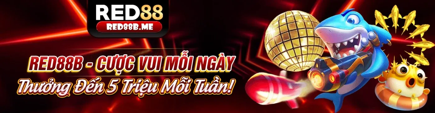 Chính sách Cookie của k9cc link mới nhất